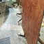image06